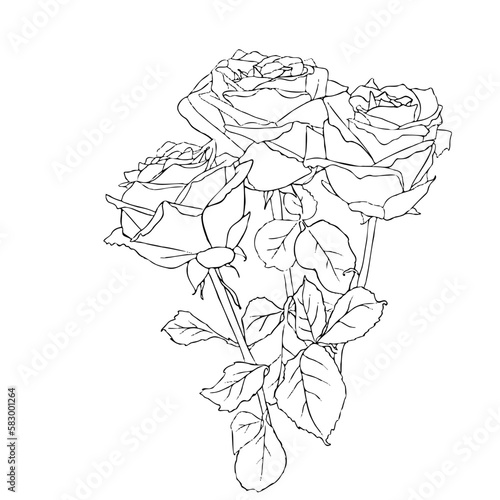 Continuous line drawing. line art bouquet of roses