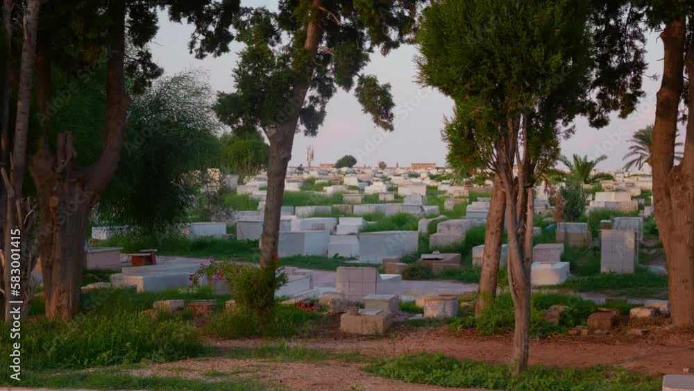 Cemetery in Monastir next to Mausoleum of Habib Bourguiba. Muslim graveyard in Monastir city of Tunisia.