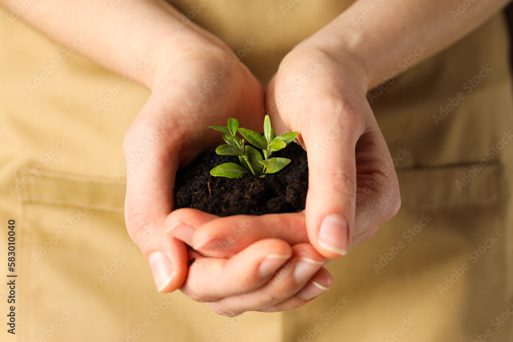 Earth Day, Environment concept and Eco concept Earth Day, Environment concept and Eco concept