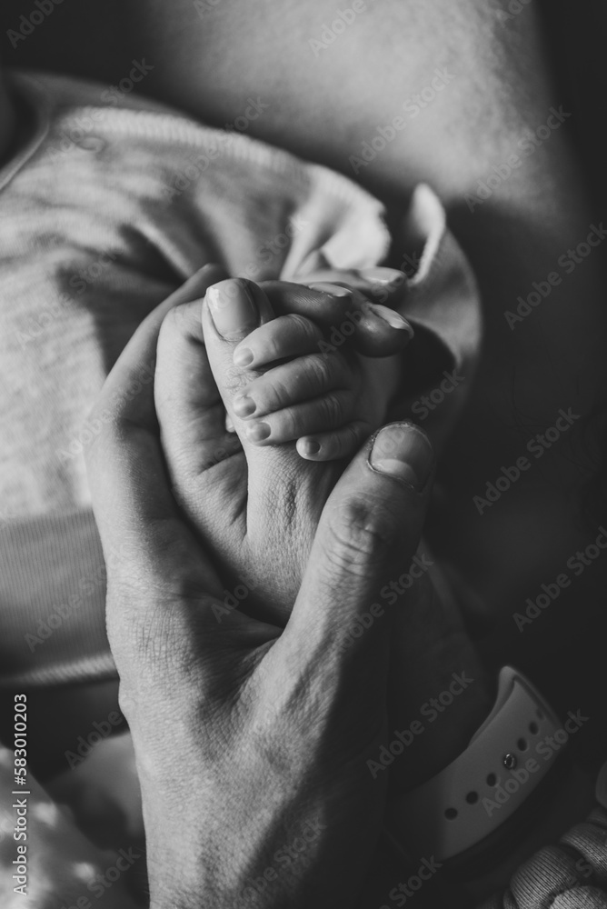 Hands of father, mother, hold tiny newborn. Care, family safety and protection. Concept of family love. Holding hands of mom, dad and baby closeup. Parents with child. Black and white photo. Top view.