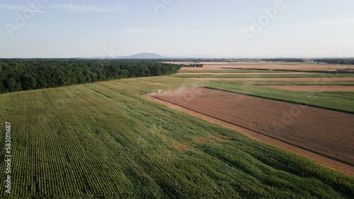 Wallpaper Mural Harvest season. Harvesting combine working in agricultural field. Aerial view of harvester in countryside. Organic farming Torontodigital.ca