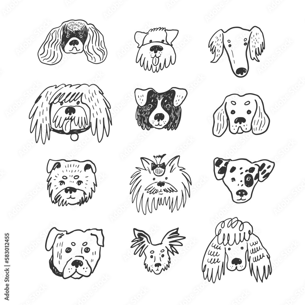 Obraz premium Dog funny animal face line vector line illustrations set.