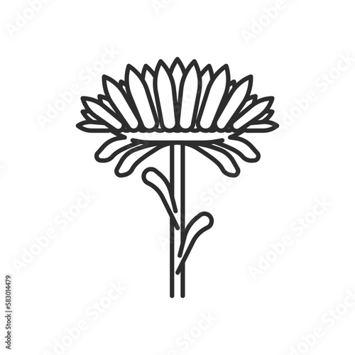 Aster flower icon. High quality black vector illustration.