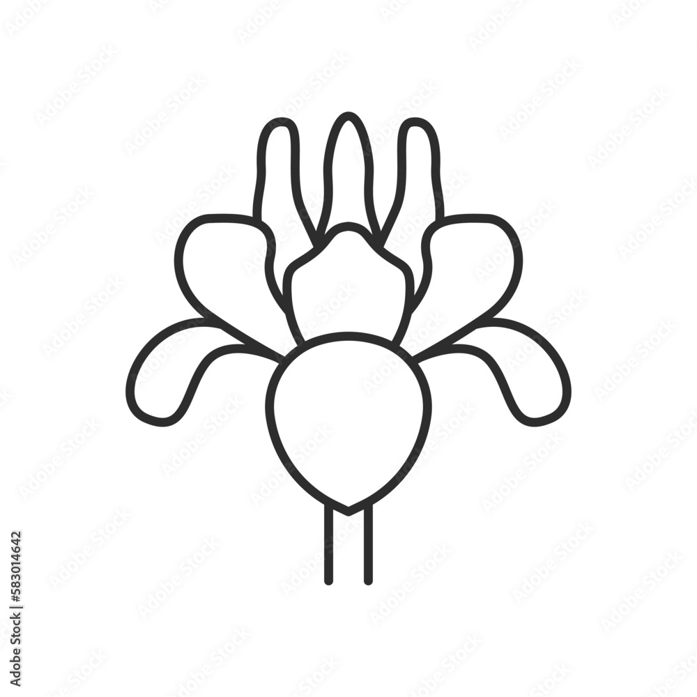 Pansy flower icon. High quality black vector illustration. Pansy flower icon. High quality black vector illustration.