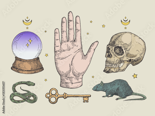 Mystical Magic Engraving Illustrations Set. Hand Drawn tattoo style color sketches of crystall ball, snake, scull, key and stars Halloween Palmistry and alchemy symbols collection