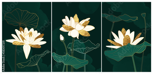 Set of luxury botanical wall art posters, prints. White and shiny golden lotus on dark green watercolor background.