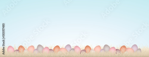 Banner 28 Ostereier Verschiedene Farben In Wiese Beige Himmel