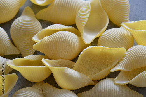 italian Conchiglioni pasta type