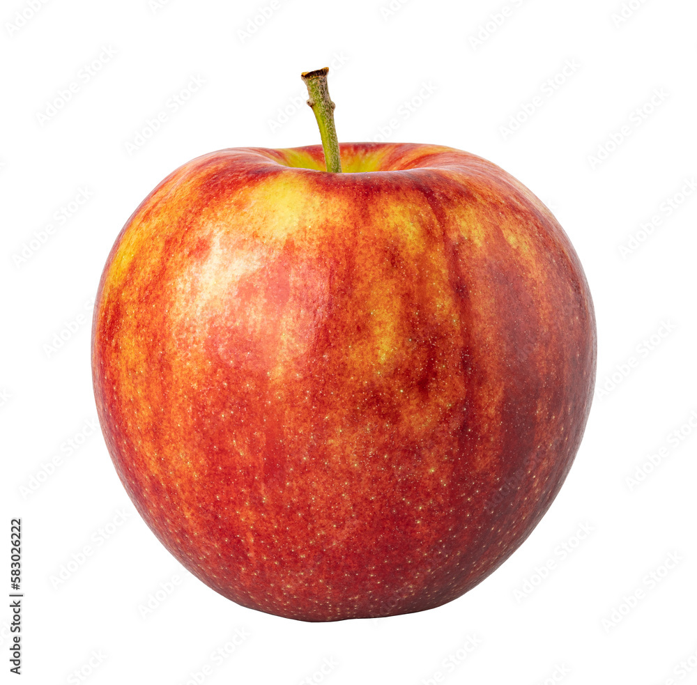 apple on transparent background. png file apple on transparent background. png file