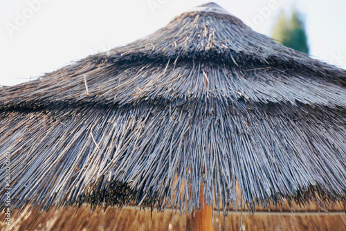 Umbrella made of logs. Summer vacation background. Space for text. photo