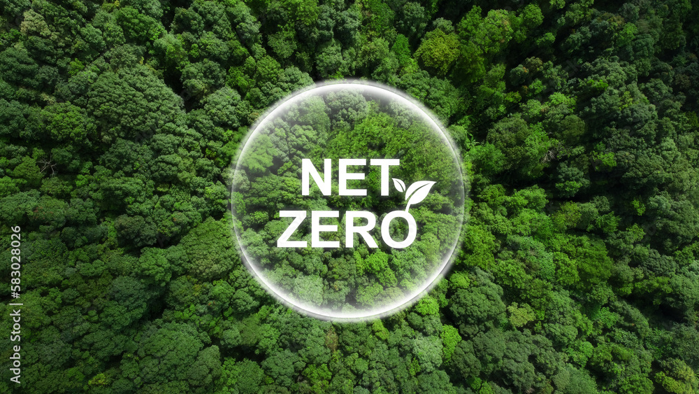 Net zero and carbon neutral concept.Net Zero text in bubbles with forest. for net zero greenhouse gas emissions target Climate neutral long term strategy on a green background. Carbon Neutrality. - obrazy, fototapety, plakaty 