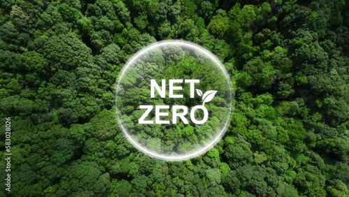 Net zero and carbon neutral concept.Net Zero text in bubbles with forest. for net zero greenhouse gas emissions target Climate neutral long term strategy on a green background. Carbon Neutrality. photo
