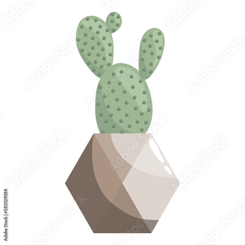 Green succulent opuntia in ceramic pot on a white. Prickly pear, pear cactus. tuna, sabra, nopal, paddle cactus