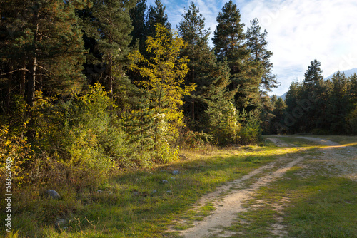 Bansko ski road, Bulgaria summer autumn landscape with colorful trees and Pirin mountains