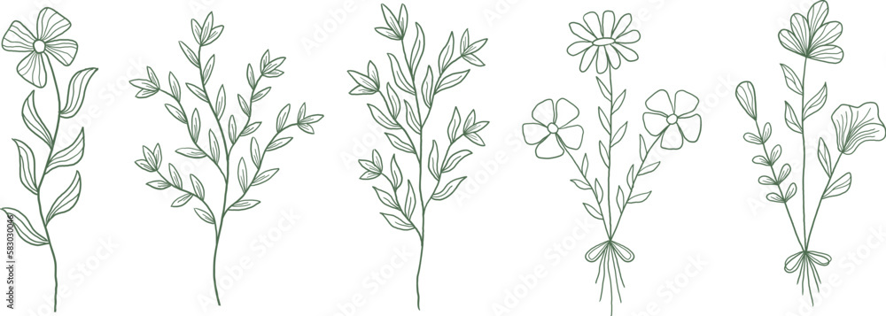 Botanical Line Art Botanical Line Art