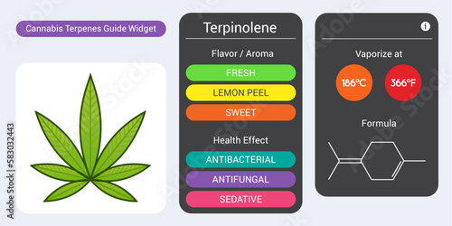 Cannabis Terpene Guide Information Chart. Aroma and Flavor with Health Benefits and Vaporize Temperature. Vector.