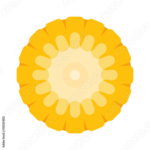 Corn cob. Organic food. Corncob natural meal. Ripe Maize. Product for cooking popcorn. Healthy eating. Vegetable.
