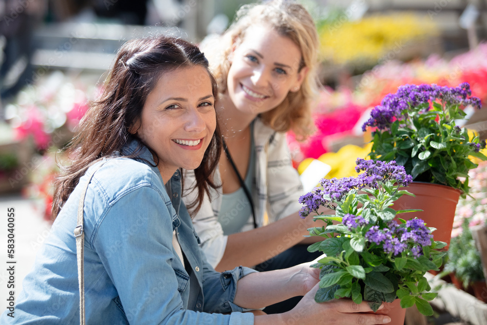 happy women shopping for potted flowers happy women shopping for potted flowers