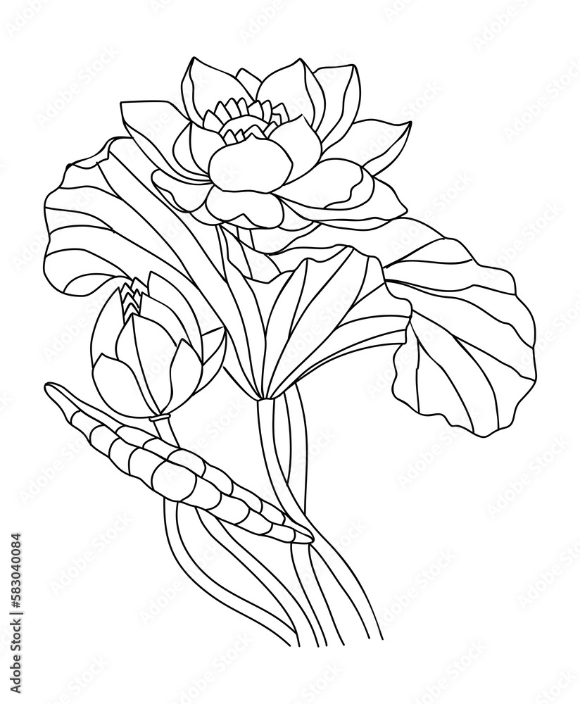 Lotus Water Lily July birth month flower line art illustration. Modern