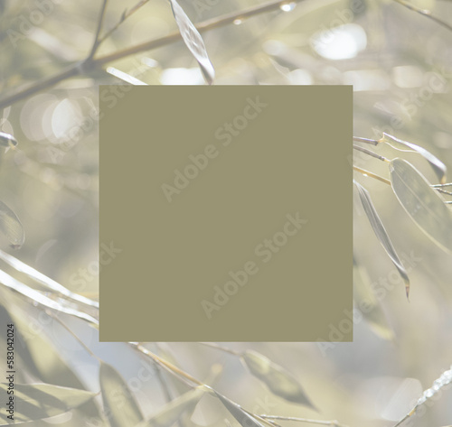 background bamboo, square text box in olive green