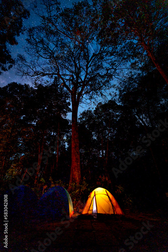 Tourists enjoy camping in the jungle in K' Bang district, Gia Lai province, Vietnam