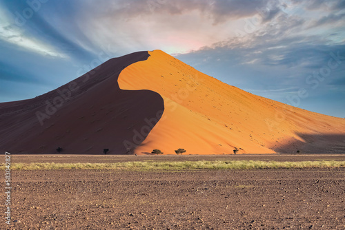 Namibia, the Namib desert, yellow dunes