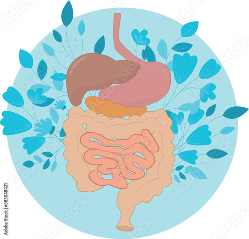 Human organs with flowers pattern on blue background in circular vector illustration