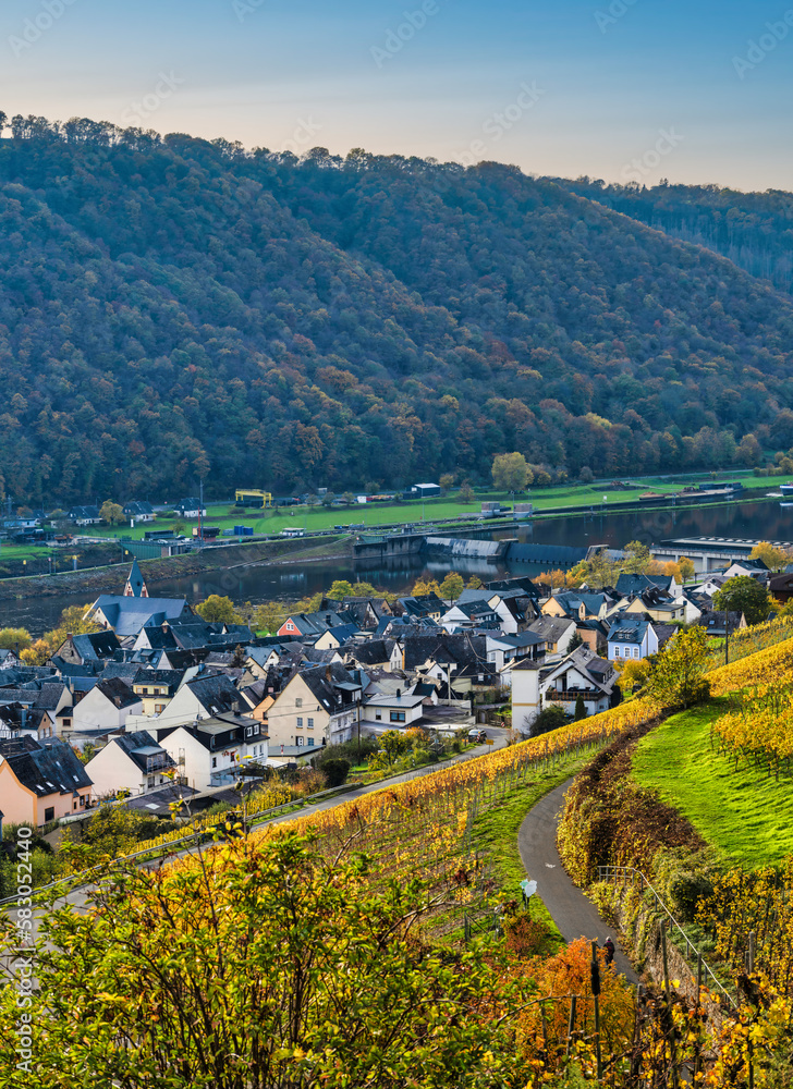 Φωτογραφία Muden village houses and steep vineyards on the sunny side of the Moselle valley