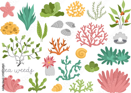 Vector seaweeds set. Sea or ocean plants collection. Flat corals, actinia, luminaria, star, phyllophora, seashells and pearl clip art. Water greenery flat clipart pack.