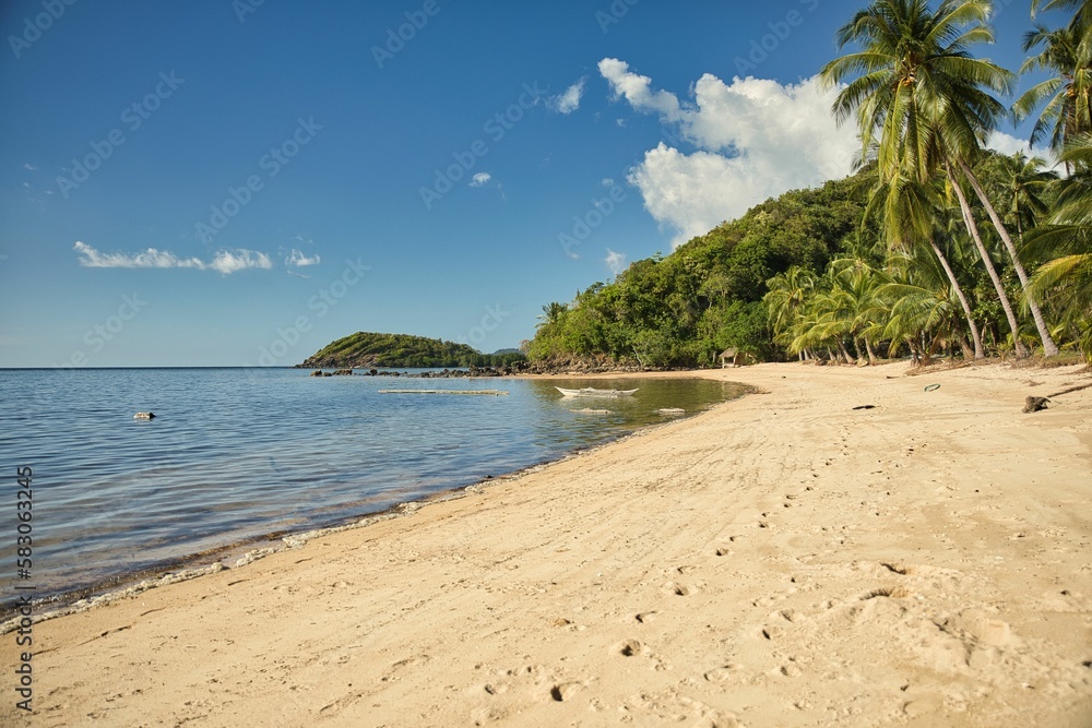 Dreamlike idyllic beach of Coron in the Philippines with palm trees along the beach and hills in the background. Dreamlike idyllic beach of Coron in the Philippines with palm trees along the beach and hills in the background.