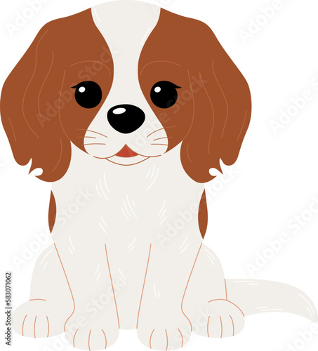 Cute Cavalier King Charles Spaniel dog isolated on white background. Vector flat illustration