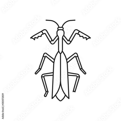 Praying mantis insect icon. High quality black vector illustration.