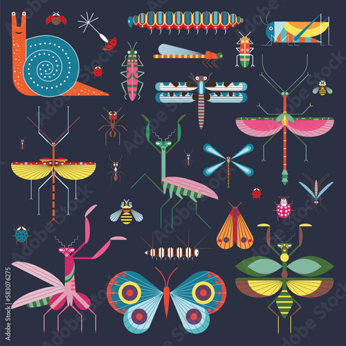 Meadow Insects and Geometric Bugs Icon Set