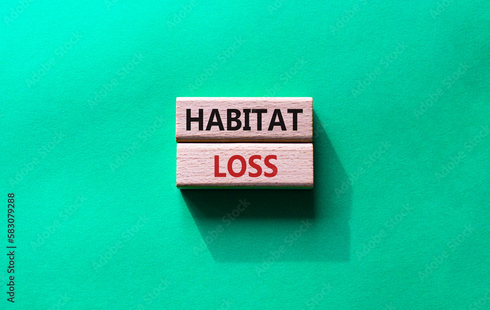 Habitat loss symbol. Wooden blocks with words Habitat loss. Beautiful green background. Business
