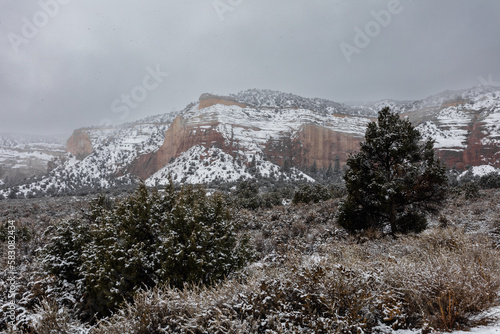 Large fir tree dusted in snow in front of epic red rock mountain formation covered in snow with overcast sky