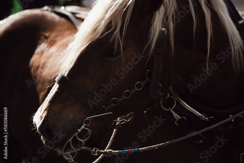 Kern-Photography.at