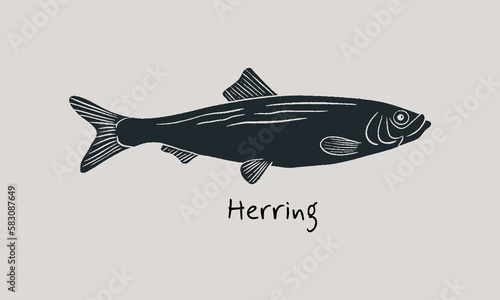 Hand drawn herring fish in sketch style. Simple vector isolated illustration on beige background