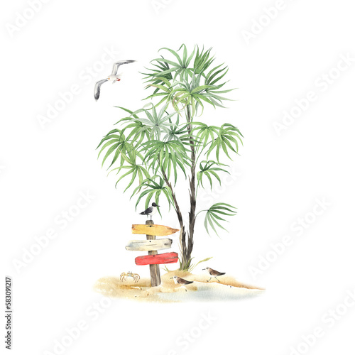 Tropical beach, sea landscape with palm, crab, sea birds and pointers, watercolor isolated illustration for invitation travel or summer banner, print for your text.