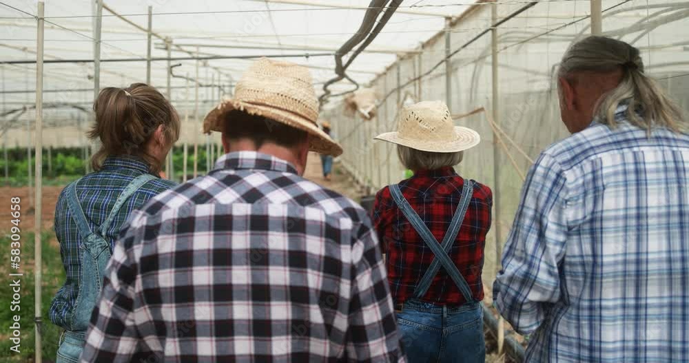 Senior people working inside farm greenhouse - Local food product and sustainable work concept Senior people working inside farm greenhouse - Local food product and sustainable work concept