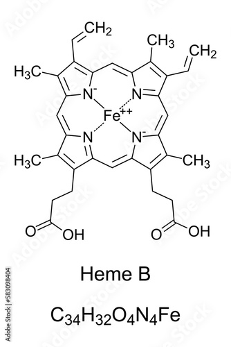 Heme B, haem B, or protoheme IX, chemical formula and structure. Contained in hemoglobin, a protein for oxygen transport. A single iron atom is bound by four nitrogen atoms in a plane porphyrin ring.
