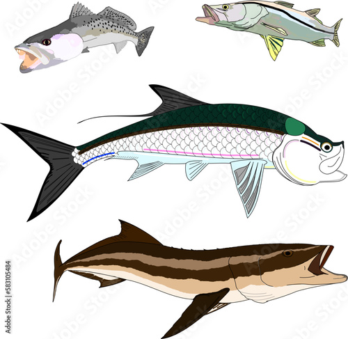 Inshore Slam Game Fish Variety