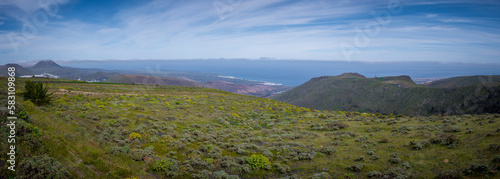 Panoramic Lanzarote landscape during springtime.