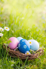 Nest with Easter eggs in grass on a sunny spring day - Easter decoration, background  -  Copy space