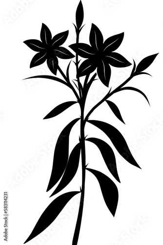 silhouette of lily flower