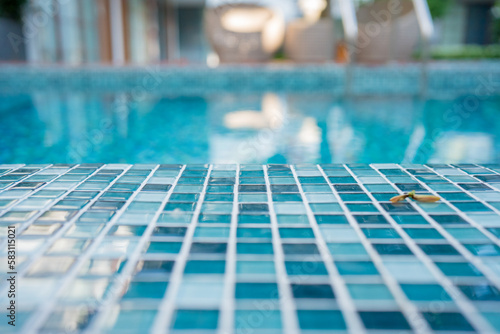 summer travel with side of swimming pool with tropical flower