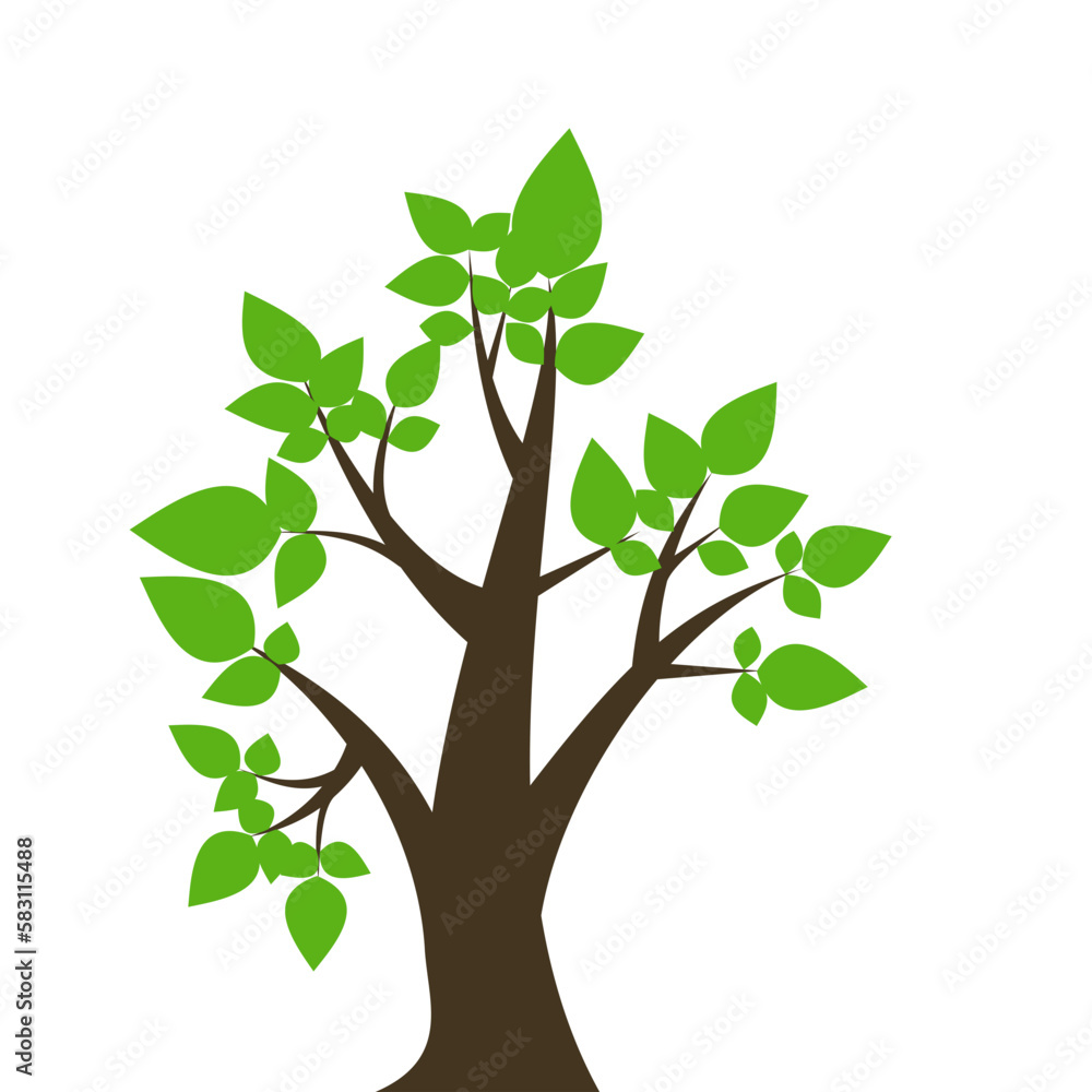 Tree Illustration Tree Illustration