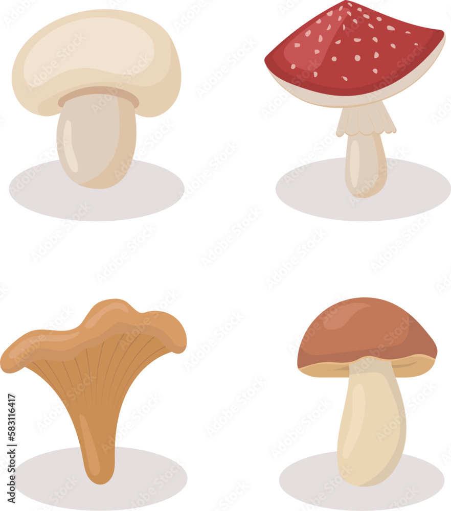 Set of different mushrooms. Cartoon, flat style illustration.