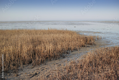 East coast of Jutland  Denmark. The east coast of Jutland facing Kattegat.