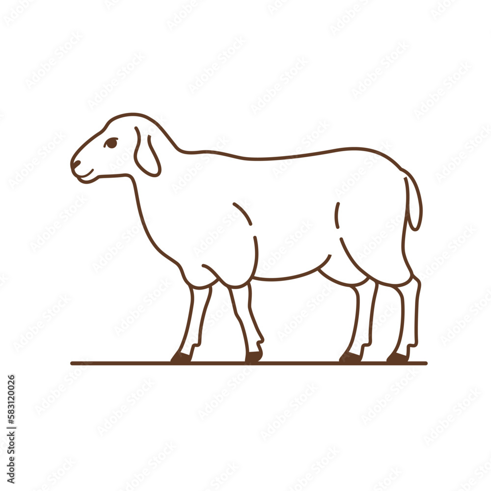 Cute sheep. Detailed drawing of animal. Contour vector illustration.