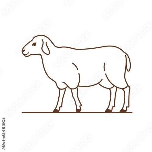 Cute sheep. Detailed drawing of animal. Contour vector illustration.